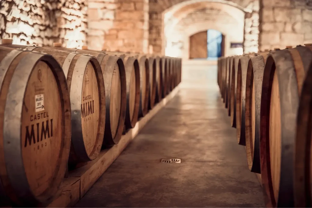 Weinreise durch die Weinkeller von Castel MIMI