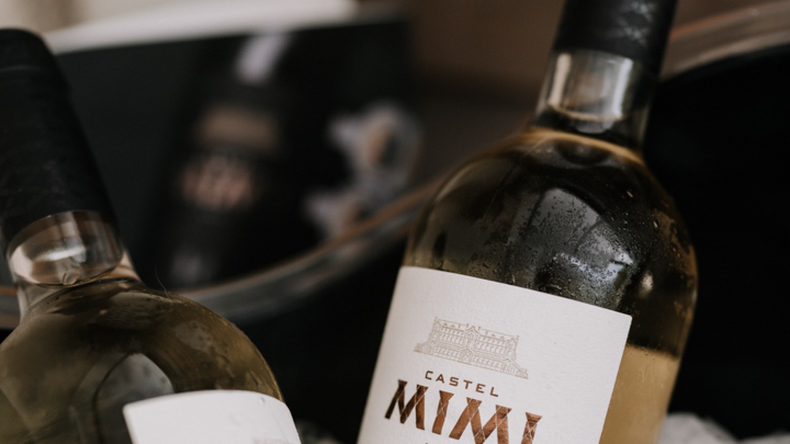 VinoMoldova Weinbotschafter Hero